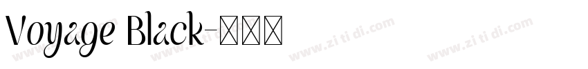 Voyage Black字体转换
